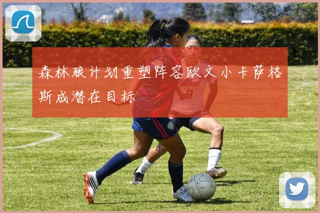 森林狼计划重塑阵容欧文小卡萨格斯成潜在目标