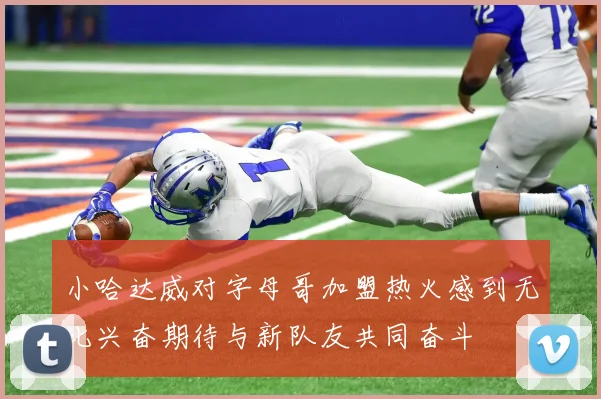 小哈达威对字母哥加盟热火感到无比兴奋期待与新队友共同奋斗
