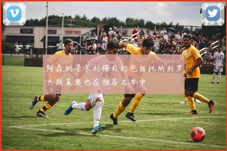 阿森纳寻求补强目标包括托纳利罗杰斯莱奥也在推荐名单中